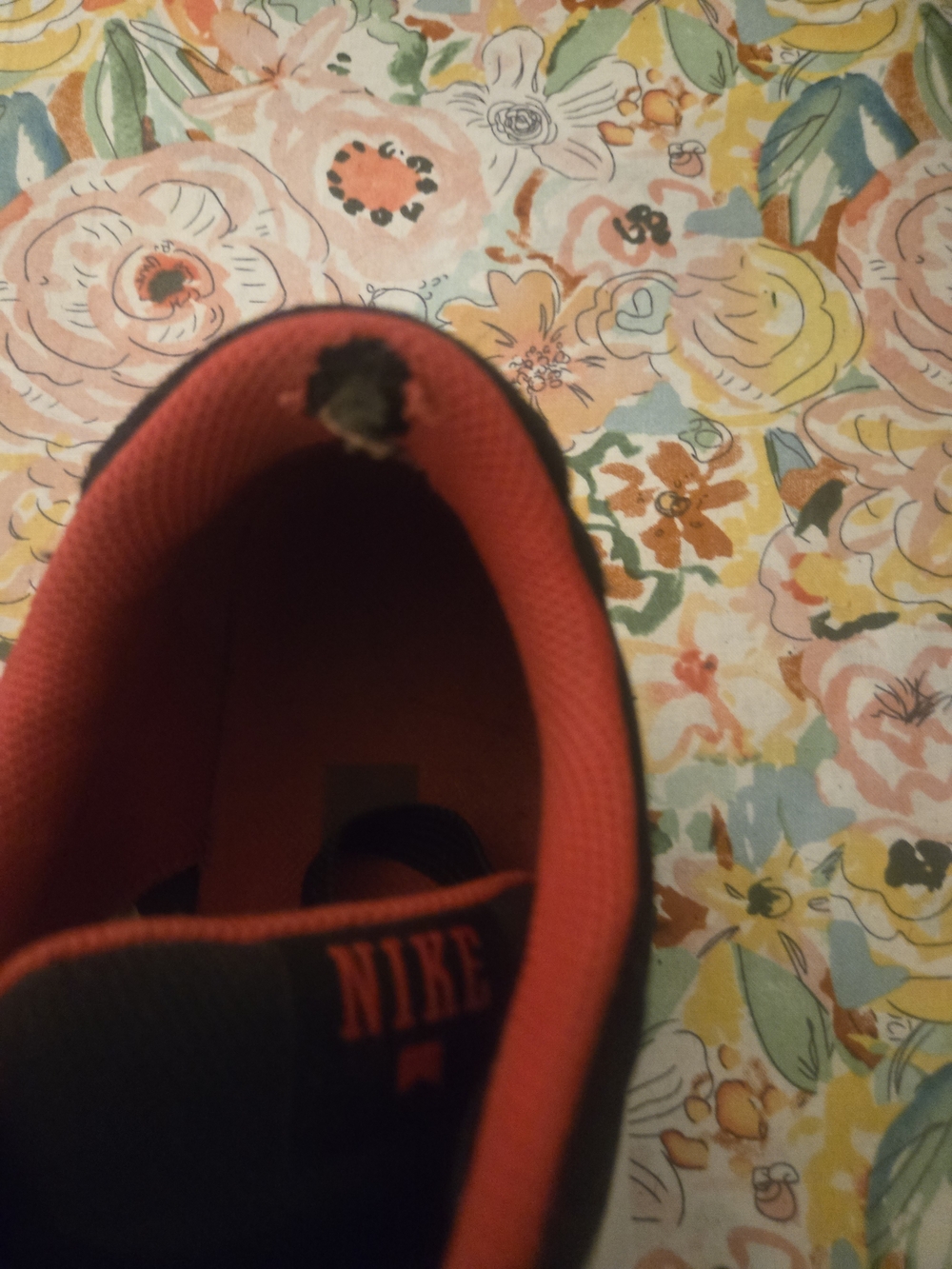 Men's Nike SB In Great Shape. - Picture 4 of 8